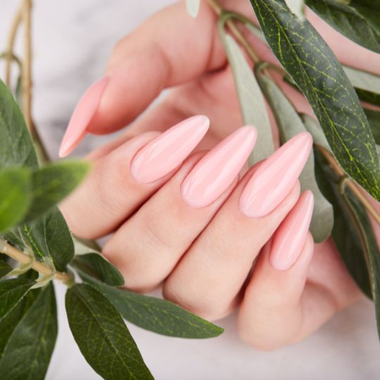 Focus Nails and Spa