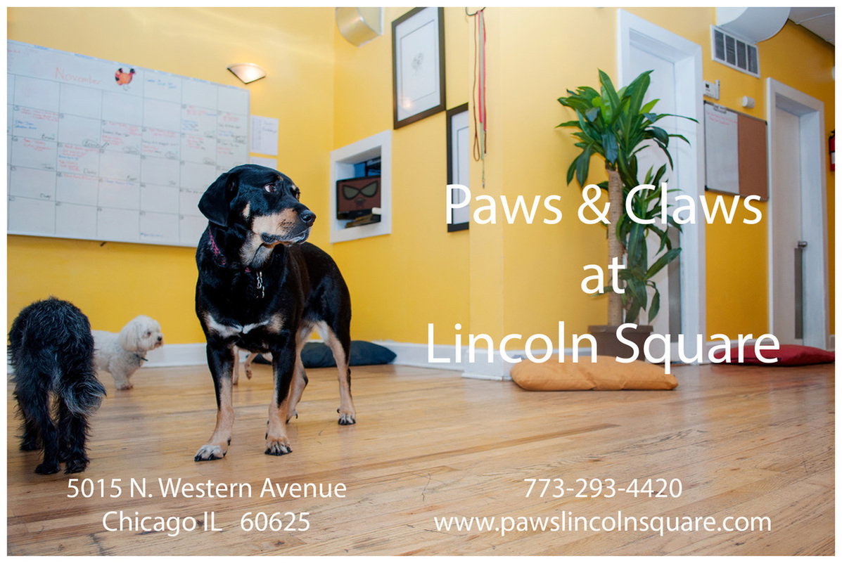 Paws & Claws At Lincoln Square