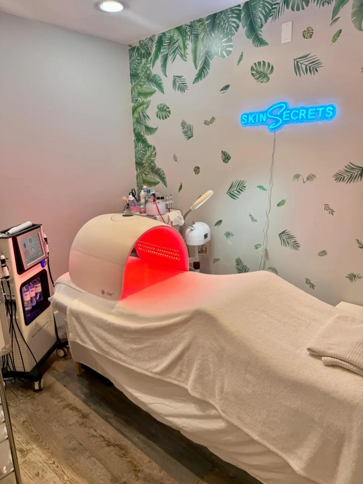 Skin Secrets Spa