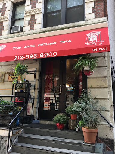 The Dog House Spa