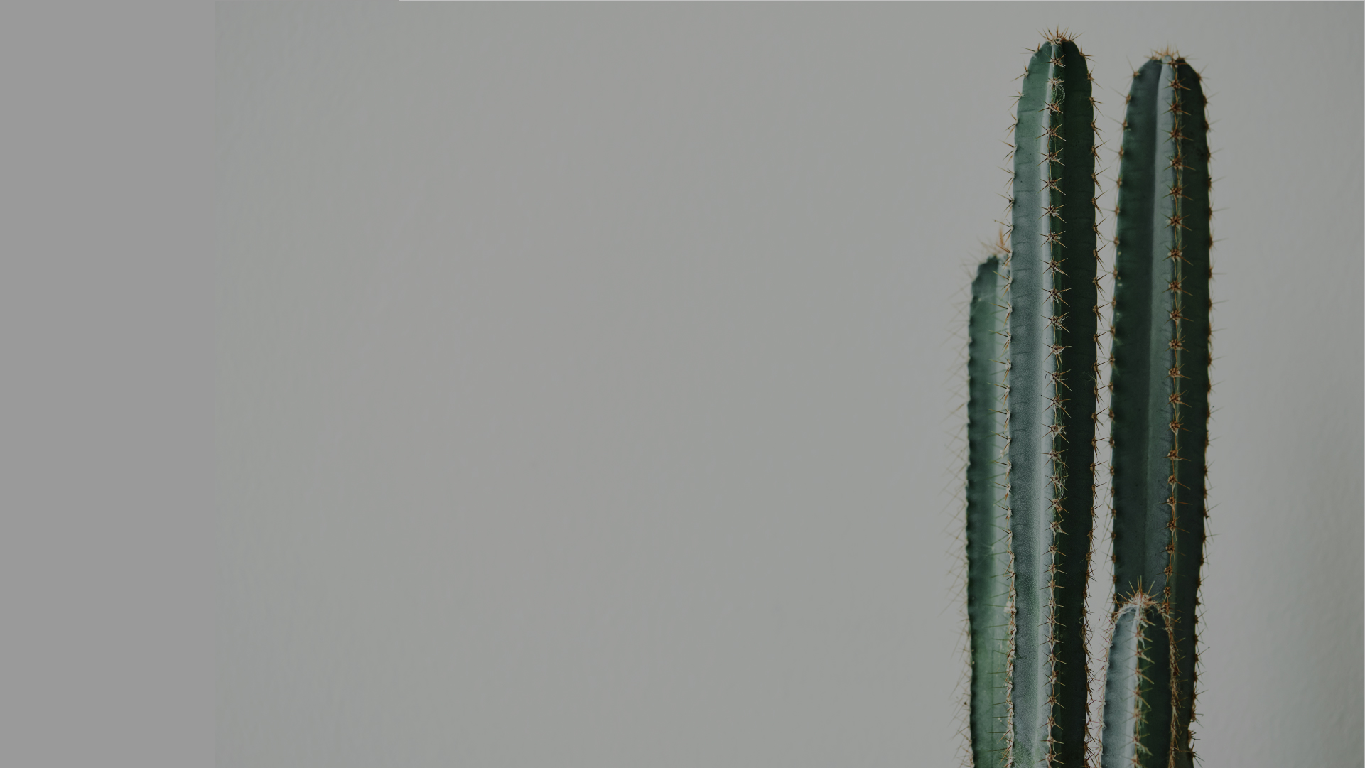 Revel 8 美发沙龙 + 水疗中心