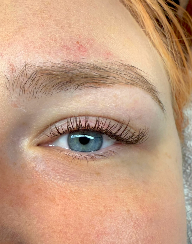 THE LASH COVEN