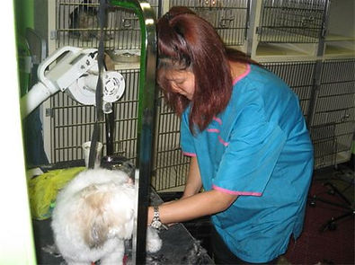 Le Pet Spa