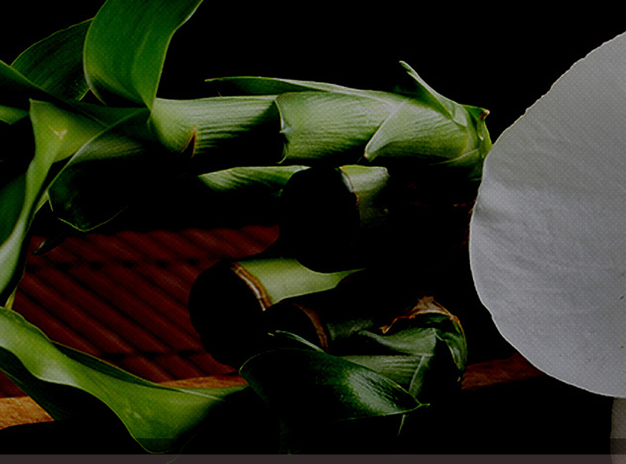 MC Thai Massage