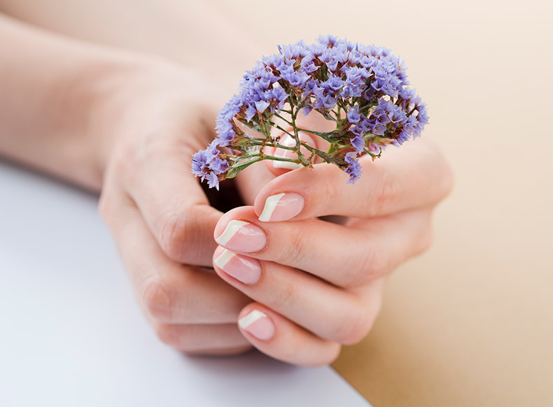 Elegant Nails Spa