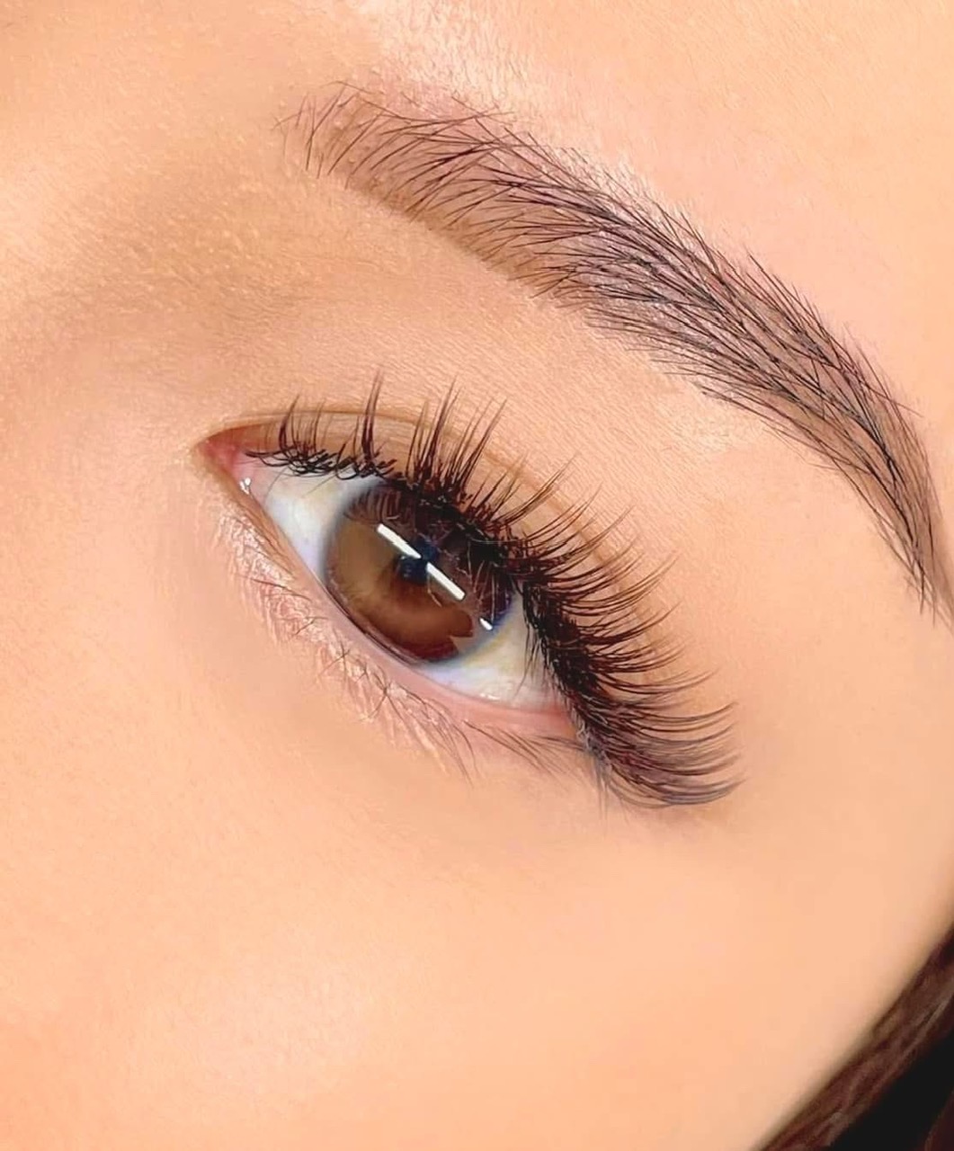 Lumily Lash & Brows