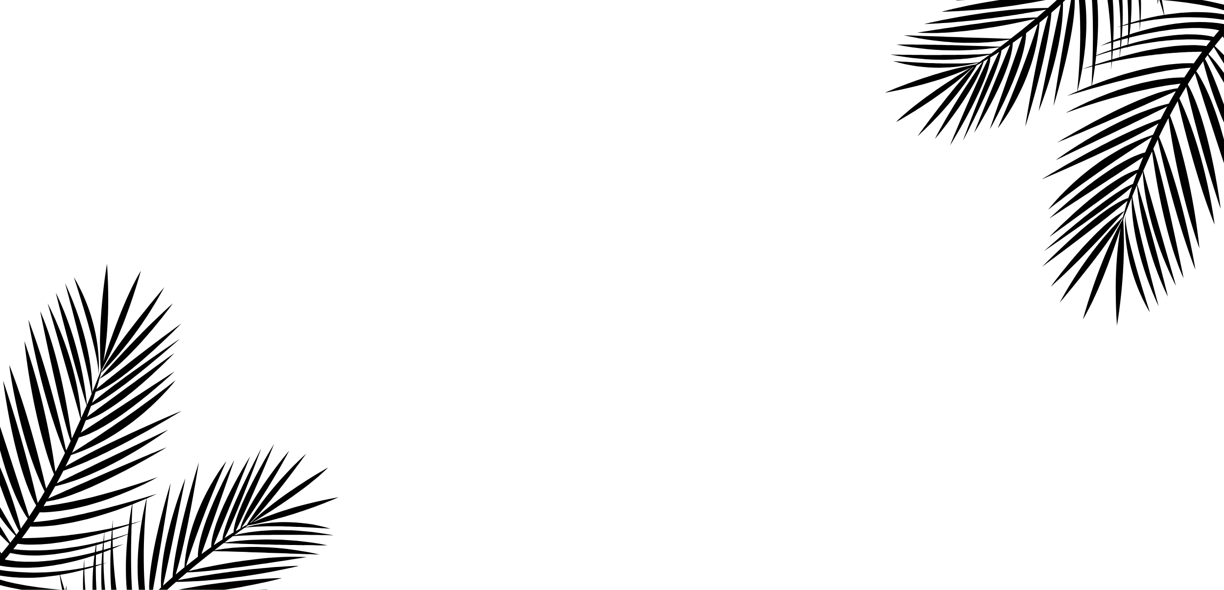 ZZ 医学水疗中心
