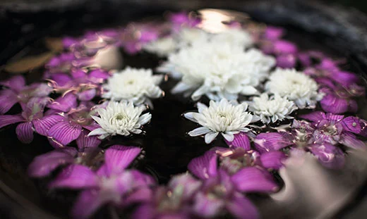 Sahar Allure Med Spa