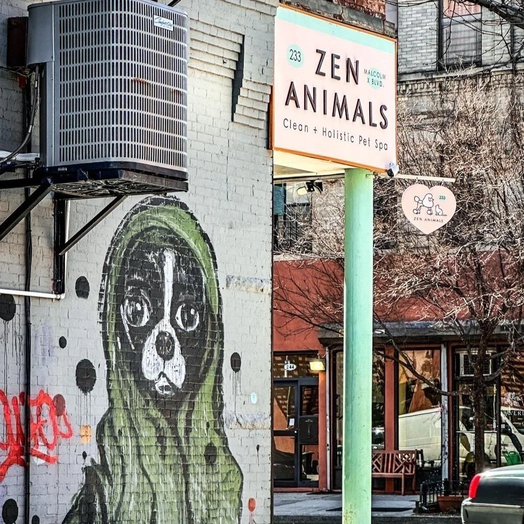 ZEN ANIMALS：清洁 + 整体宠物水疗 的照片